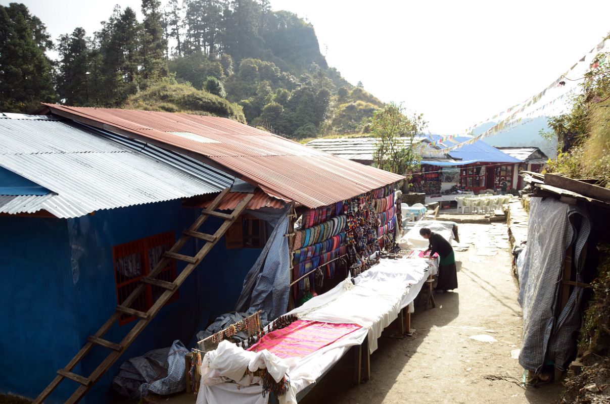 05 Deurali On Trek From Ghorepani To Chomrong 